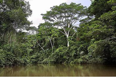 传闻：《暗黑破坏神4》实机视频疑遭泄露